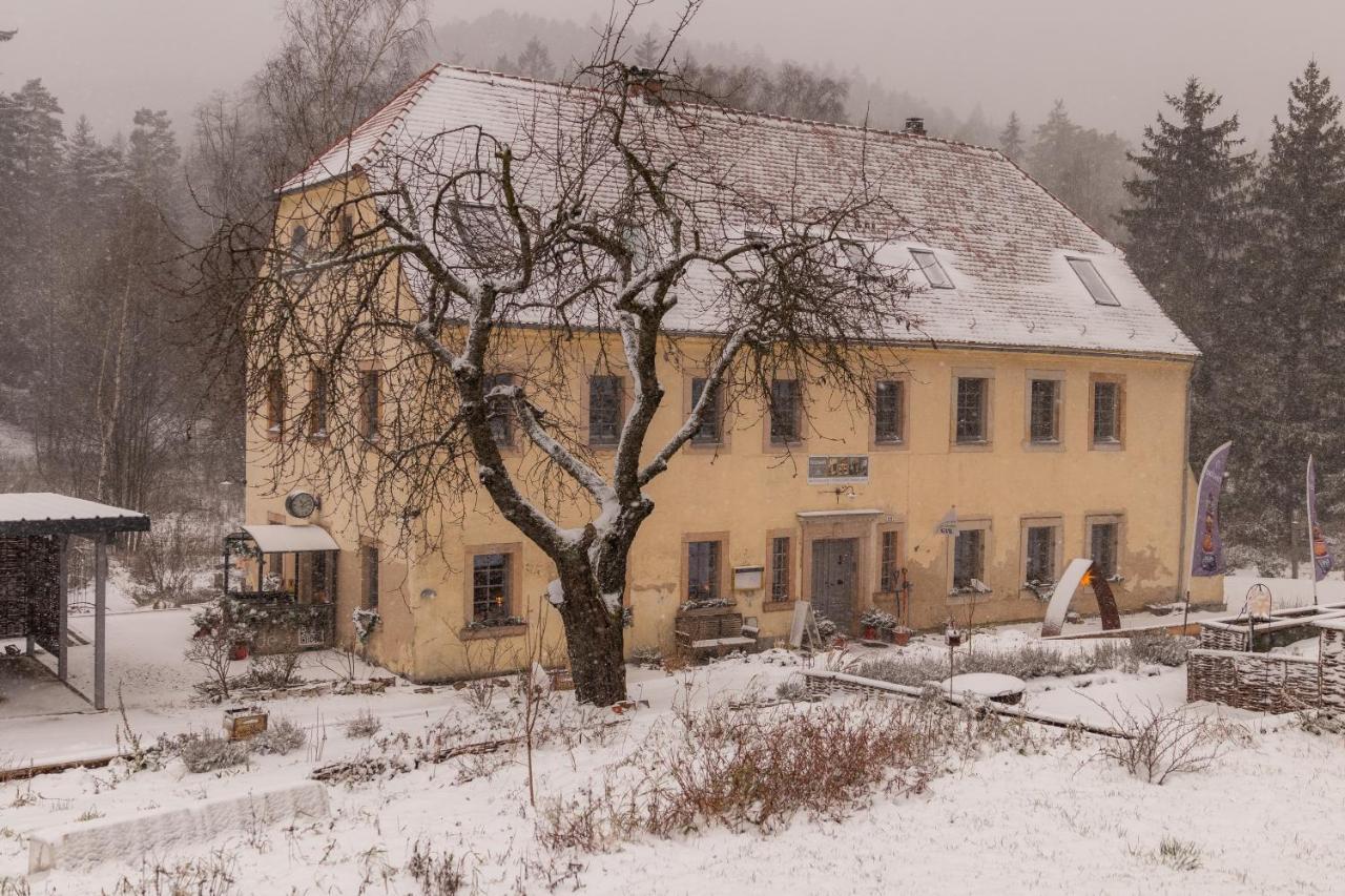 Holzwerk Oybin Apartment Exterior photo