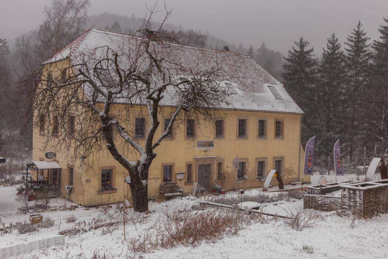 Holzwerk Oybin Apartment Exterior photo